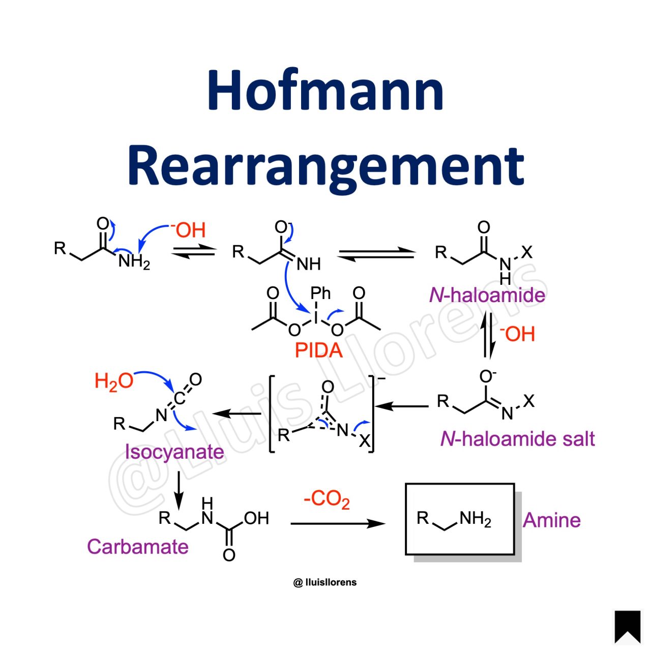 Hofmann Rearrangement Nrochemistry