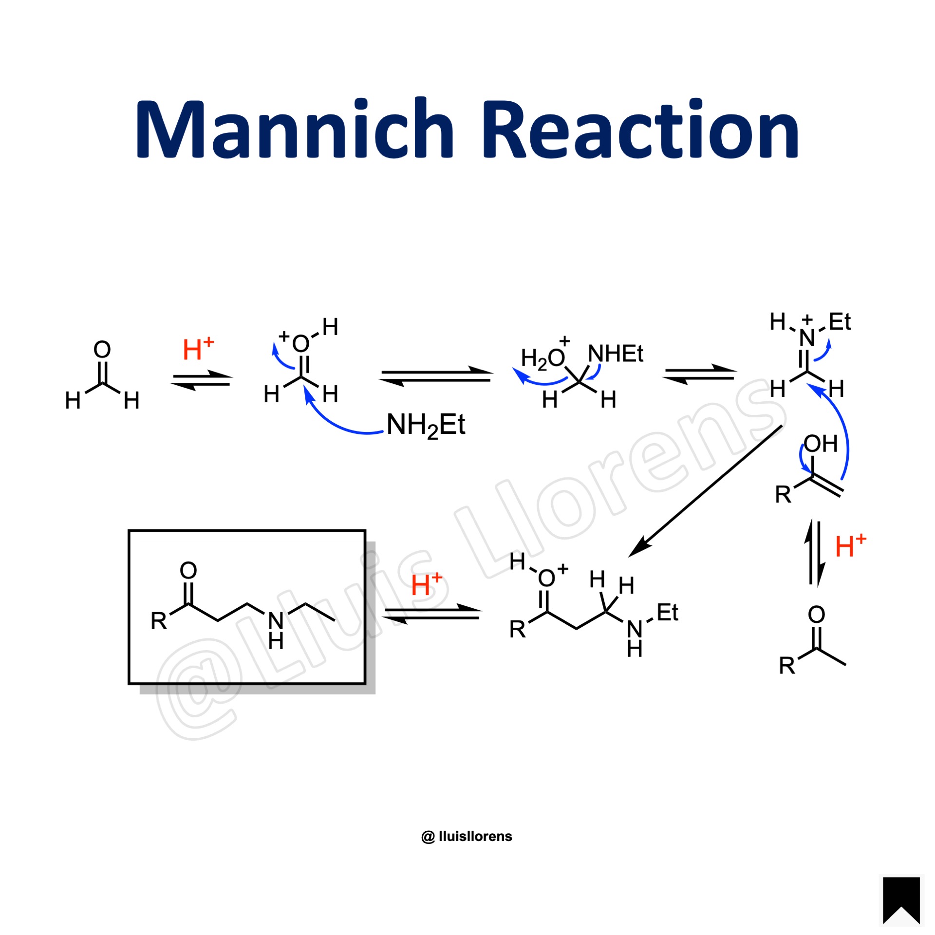 Mannich Reaction Nrochemistry