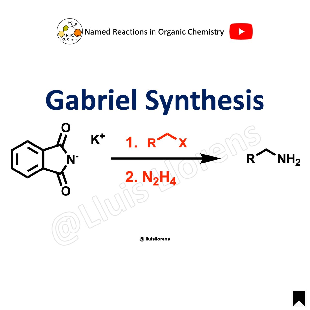 Gabriel Synthesis Nrochemistry