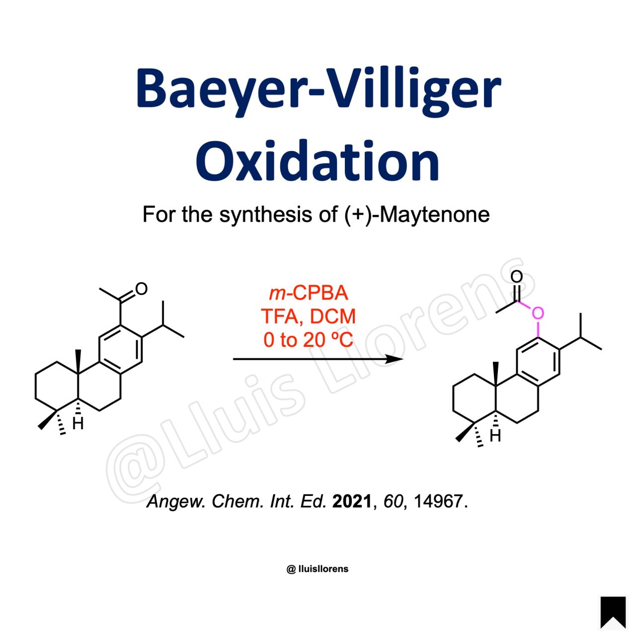 Baeyer-Villiger Oxidation - Nrochemistry