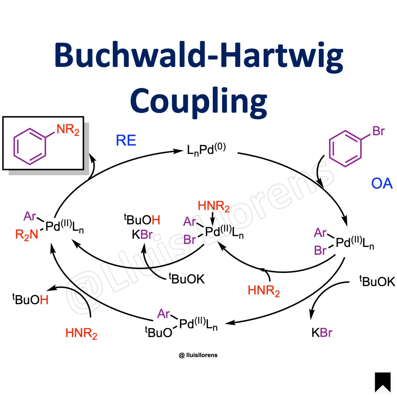 Buchwald-Hartwig Coupling - NROChemistry