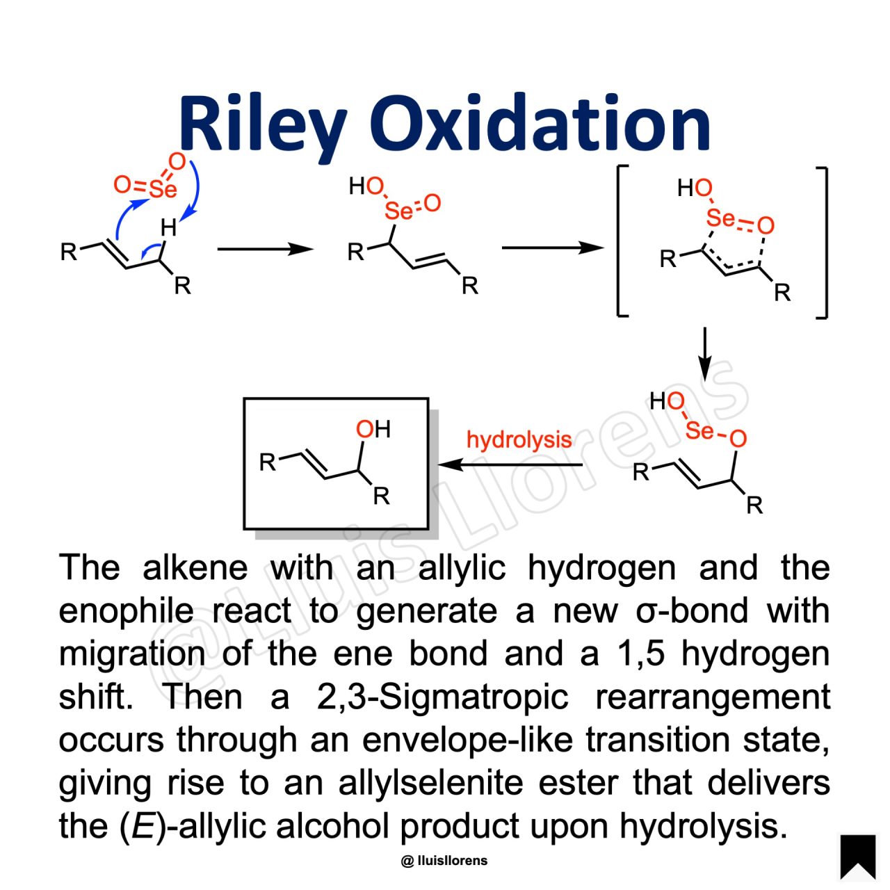 Riley Oxidation Nrochemistry Com