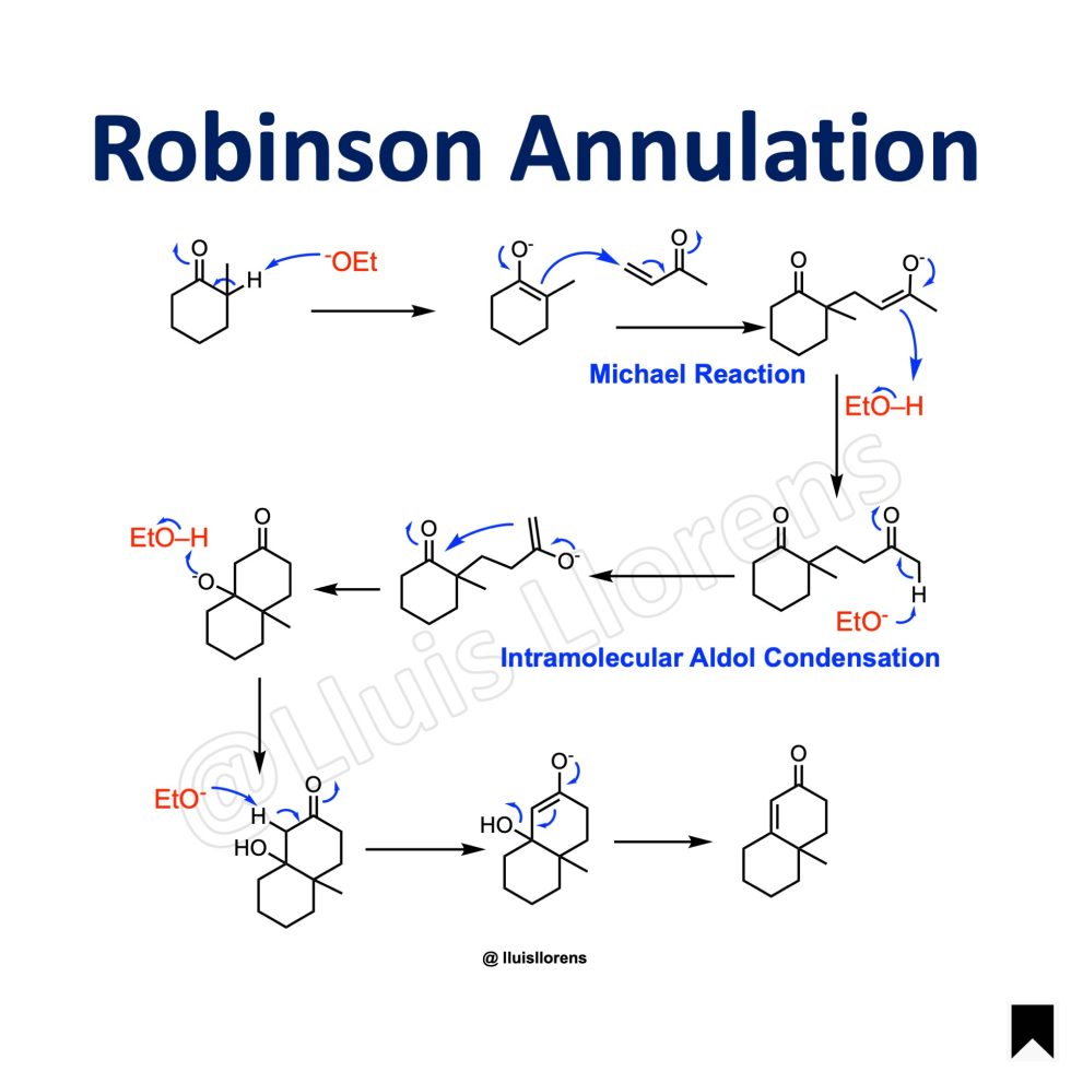 Robinson Annulation Nrochemistry