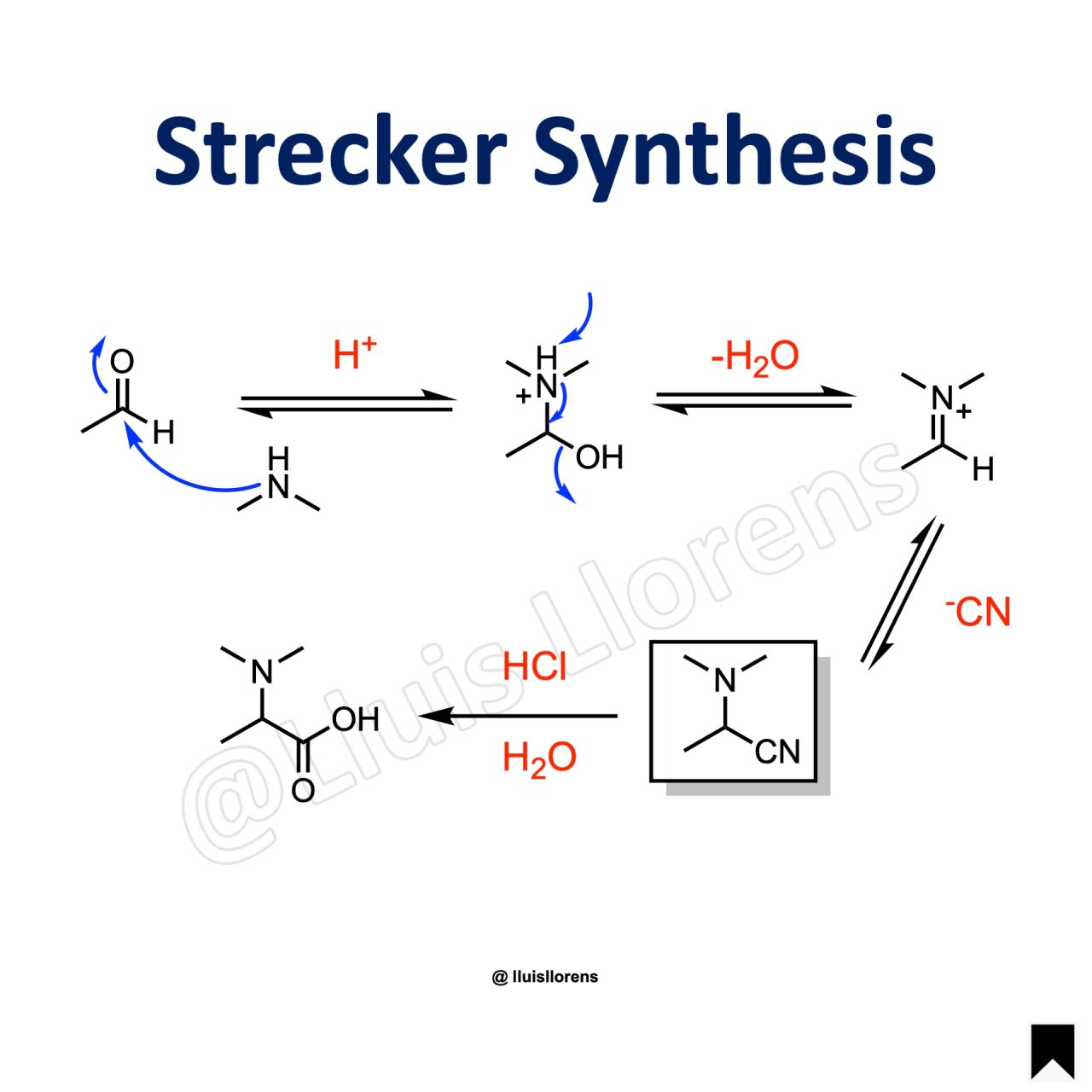 Strecker Synthesis NROChemistry