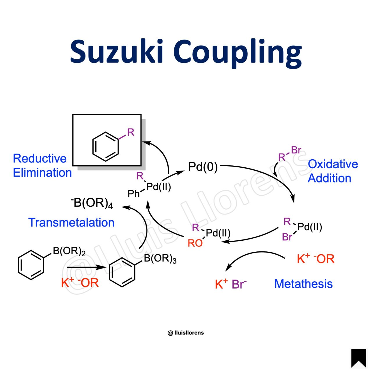 Suzuki Coupling Nrochemistry Com