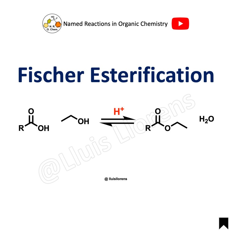 fischer-esterification-nrochemistry