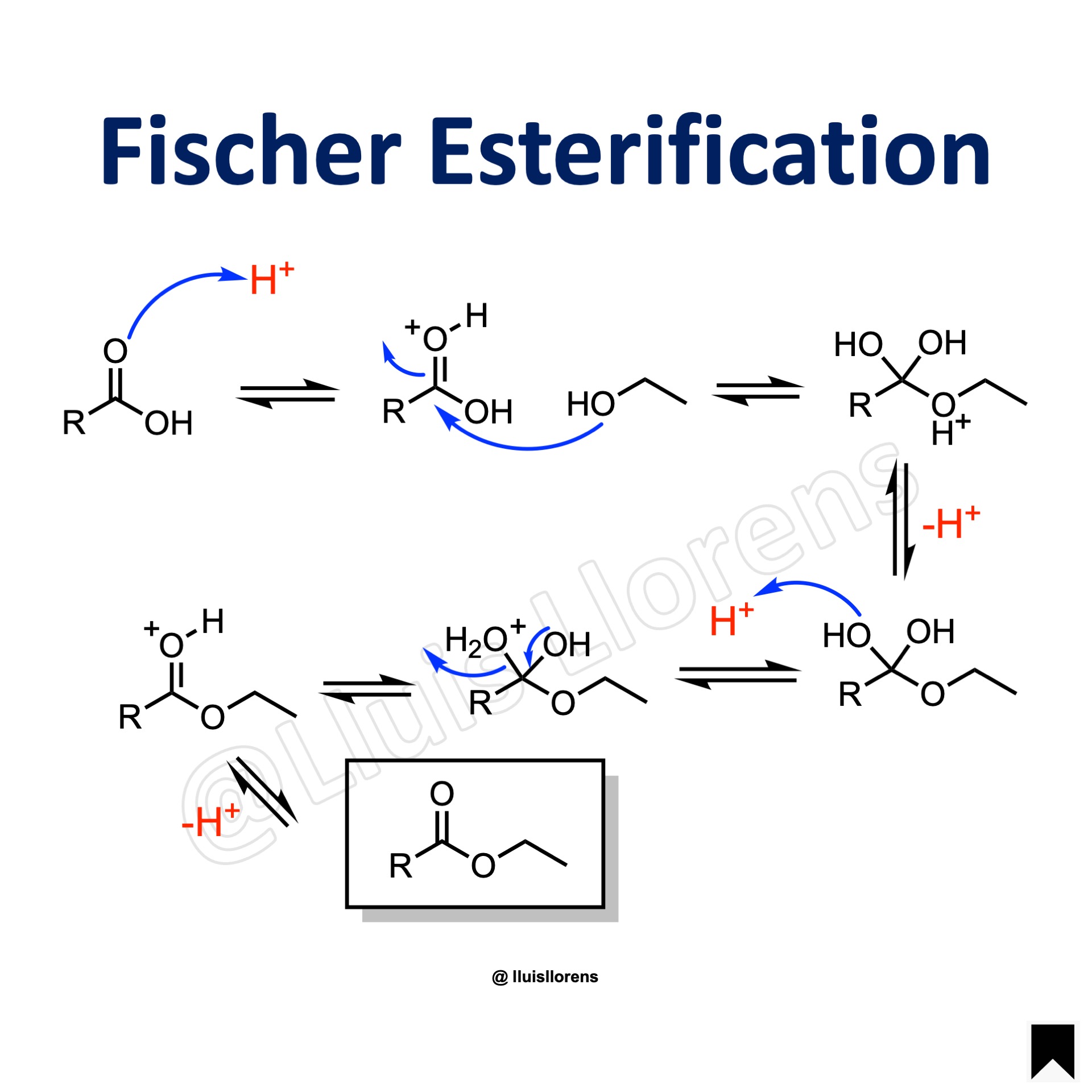 Fischer Esterification - nrochemistry.com