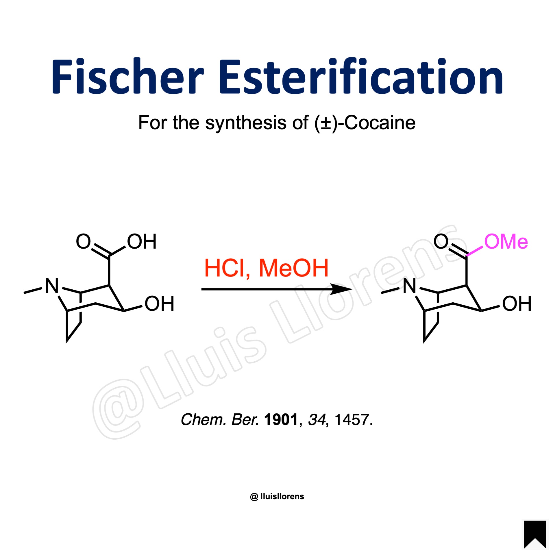 Fischer Esterification 7331