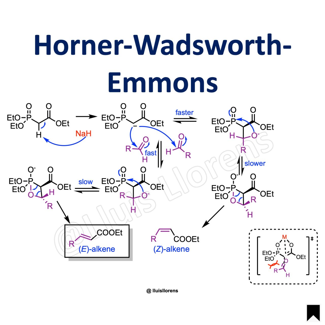 Horner Wadsworth Emmons Reaction Nrochemistry