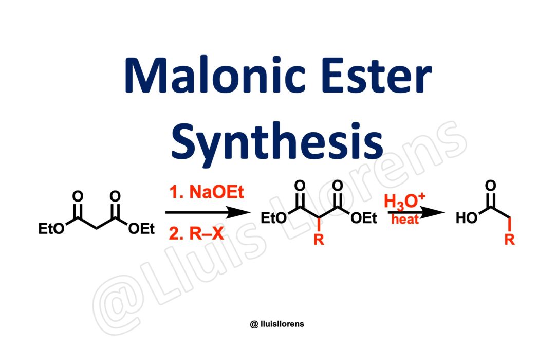 Malonic Synthesis