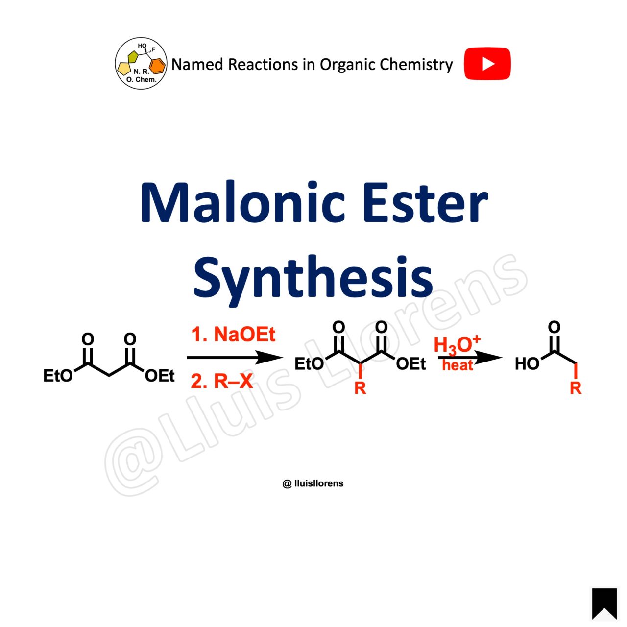 Malonic Synthesis Nrochemistry