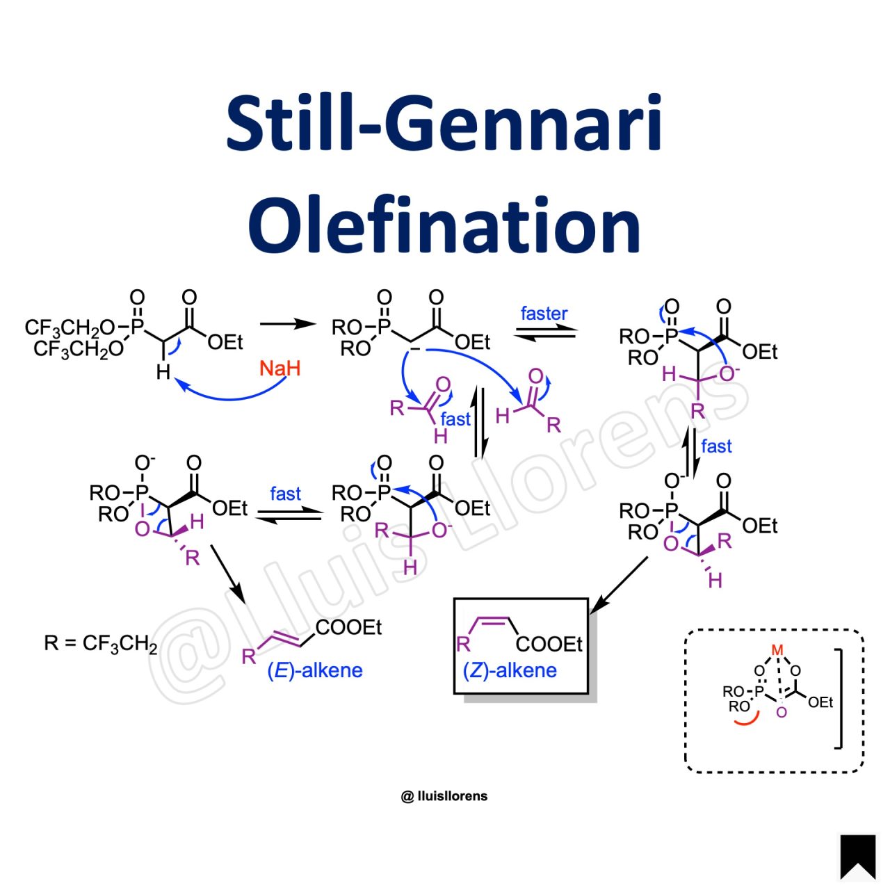 Horner Wadsworth Emmons Reaction Nrochemistry