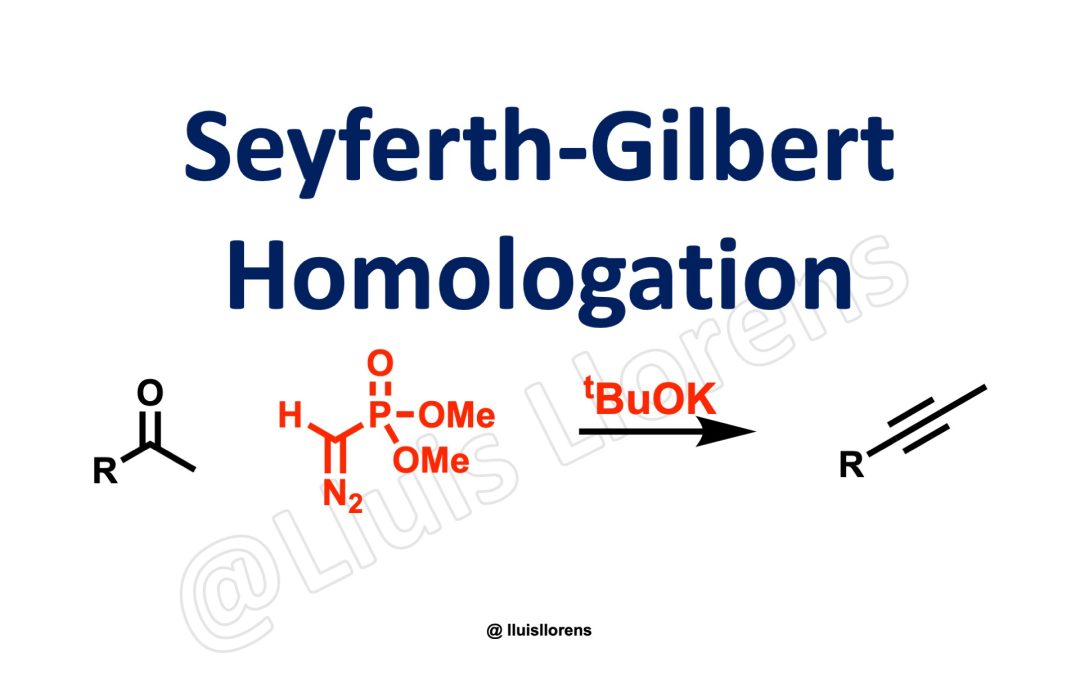 Seyferth-Gilbert Homologation