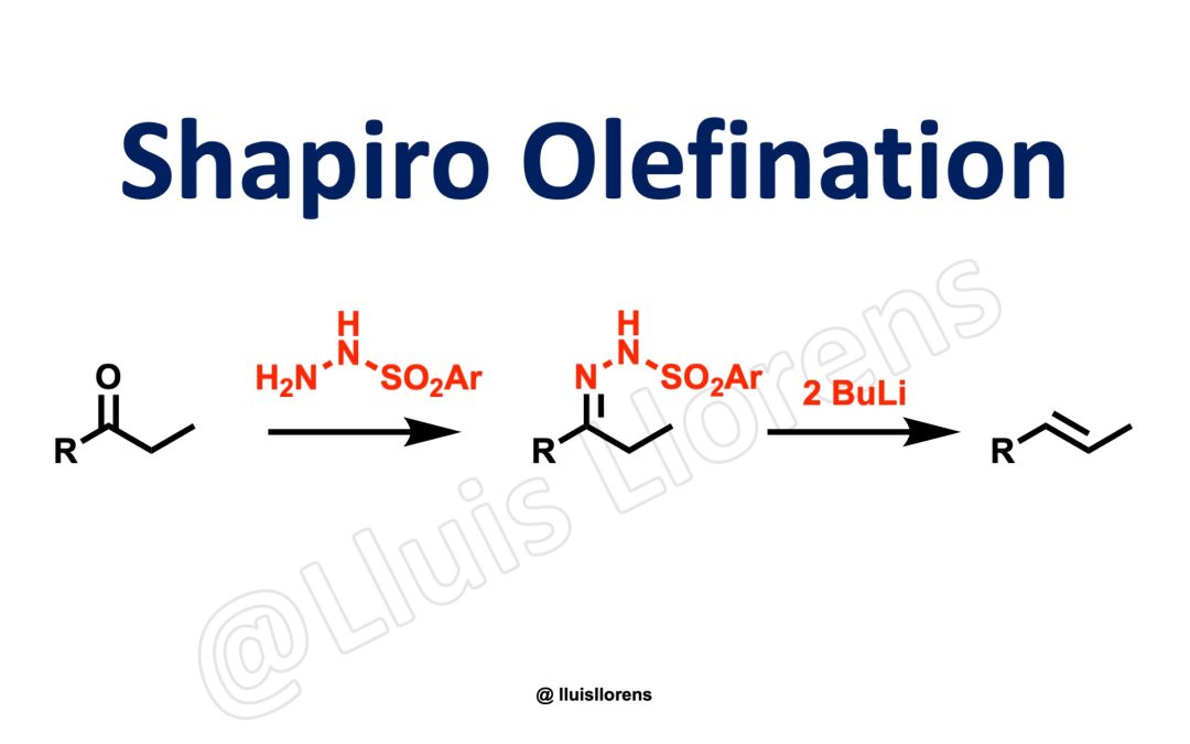 Shapiro Olefination