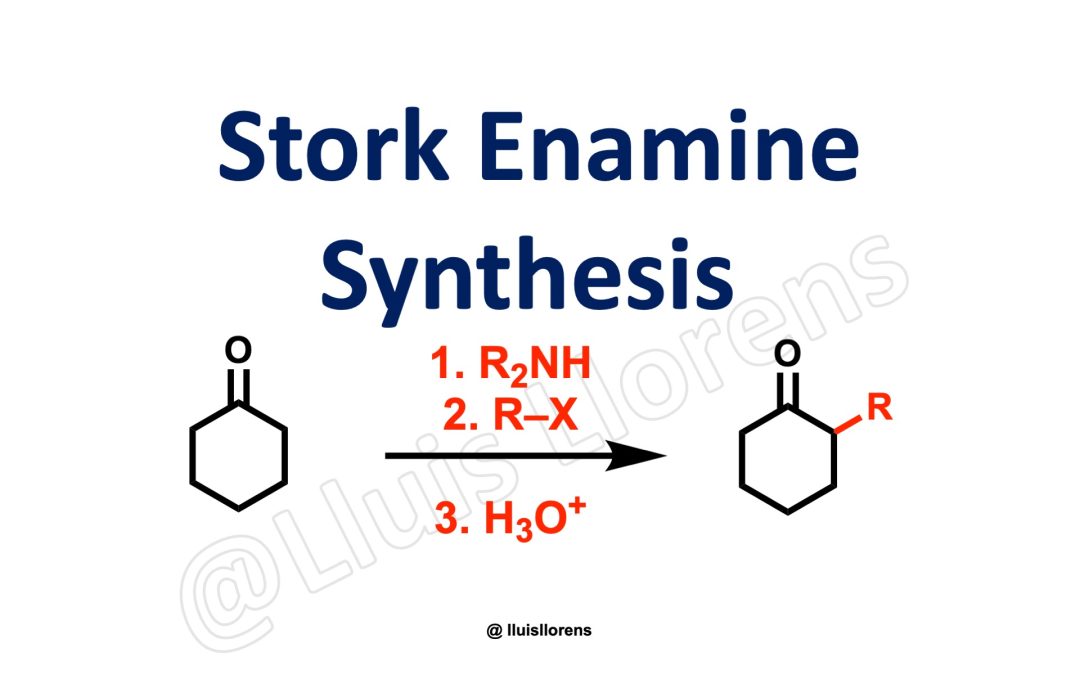 Stork Enamine Synthesis