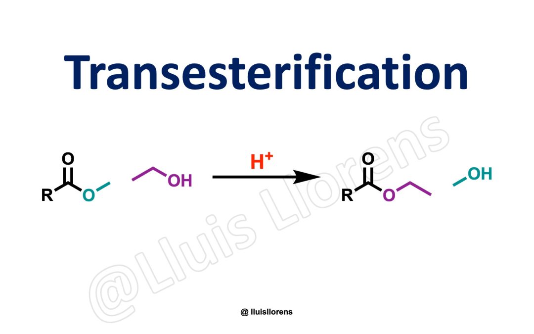 Transesterification Reaction