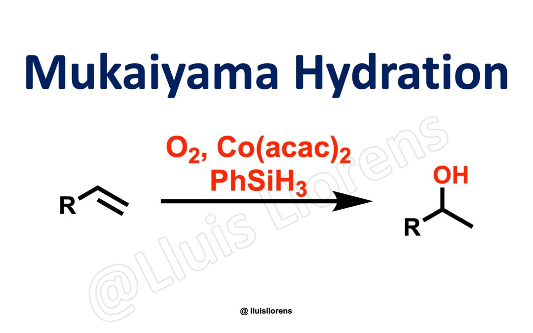 Mukaiyama Hydration