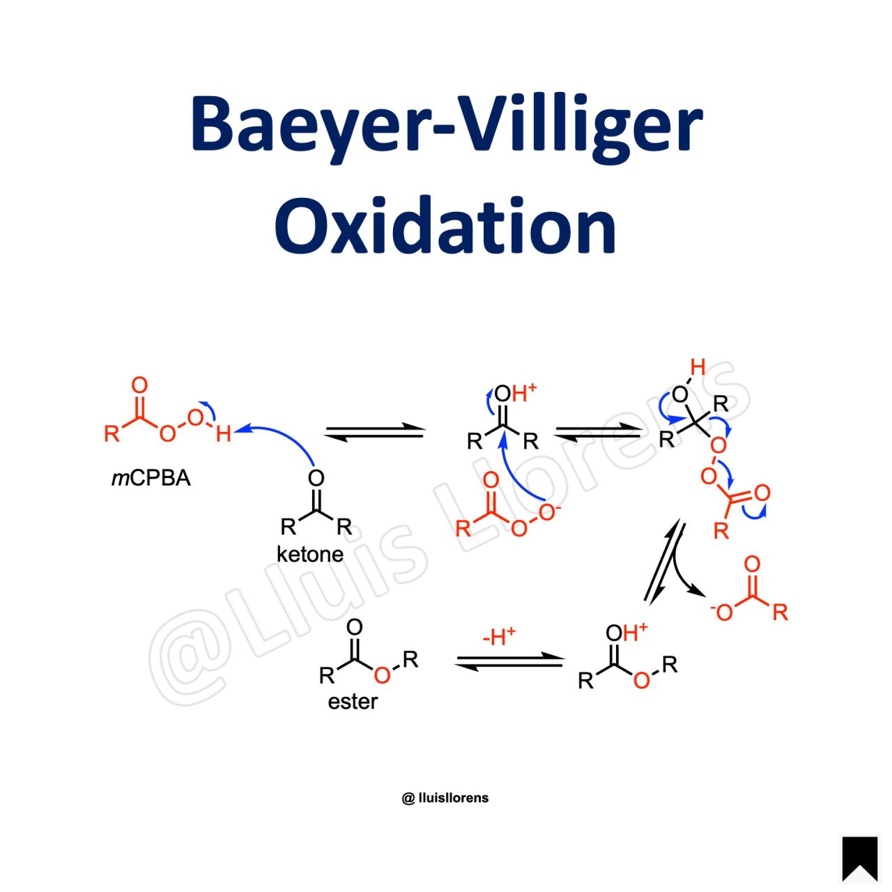 Baeyer-Villiger Oxidation - Nrochemistry