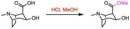 Fischer Esterification