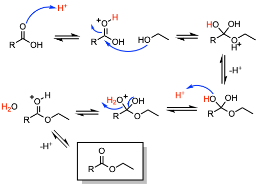 Fischer Esterification