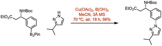 Chan-Lam coupling